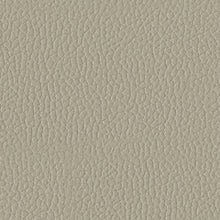 Load image into Gallery viewer, Ryversans PWR Recliner/ADJ Headrest
